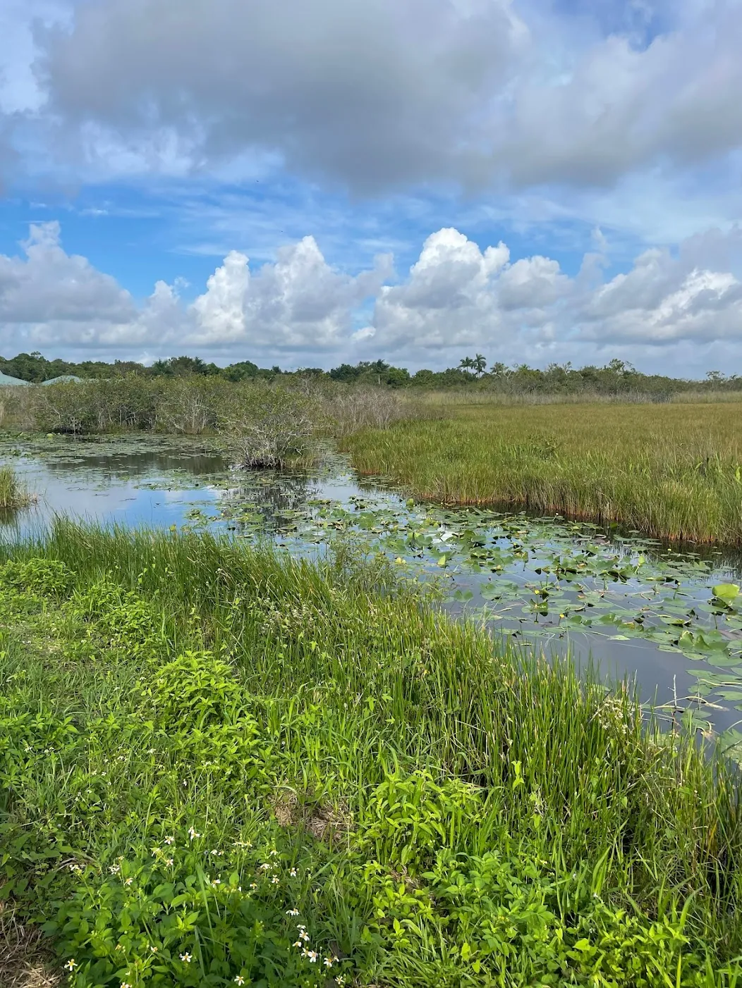 Everglades NP