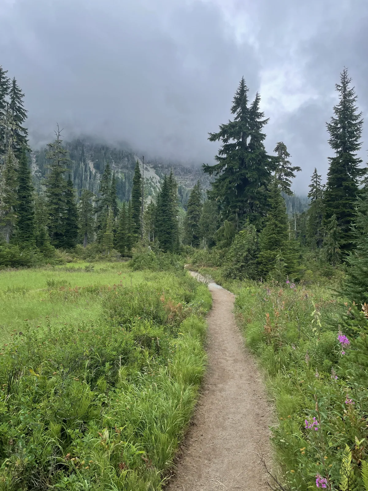 Mt Baker