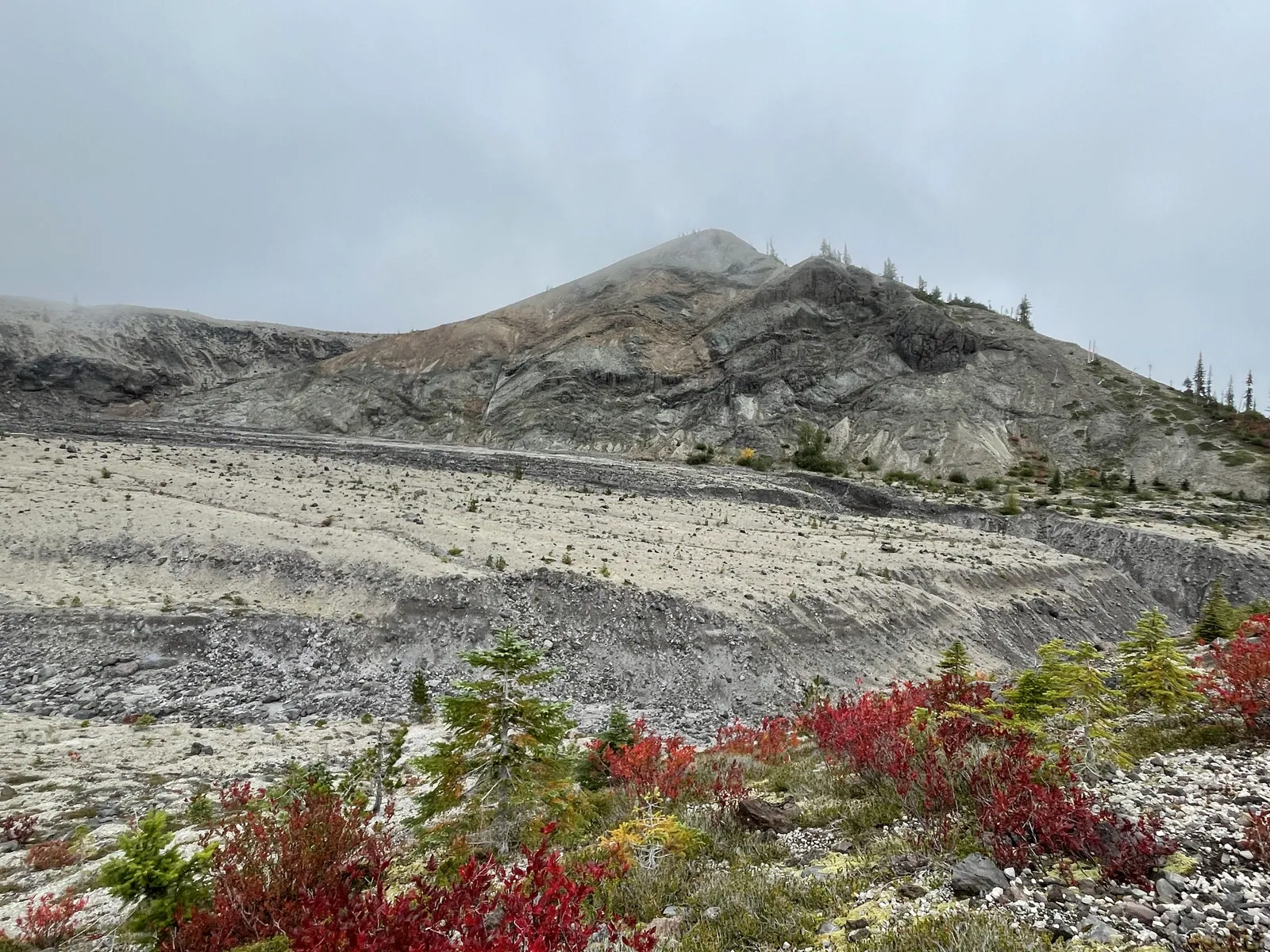 Mt St Helens