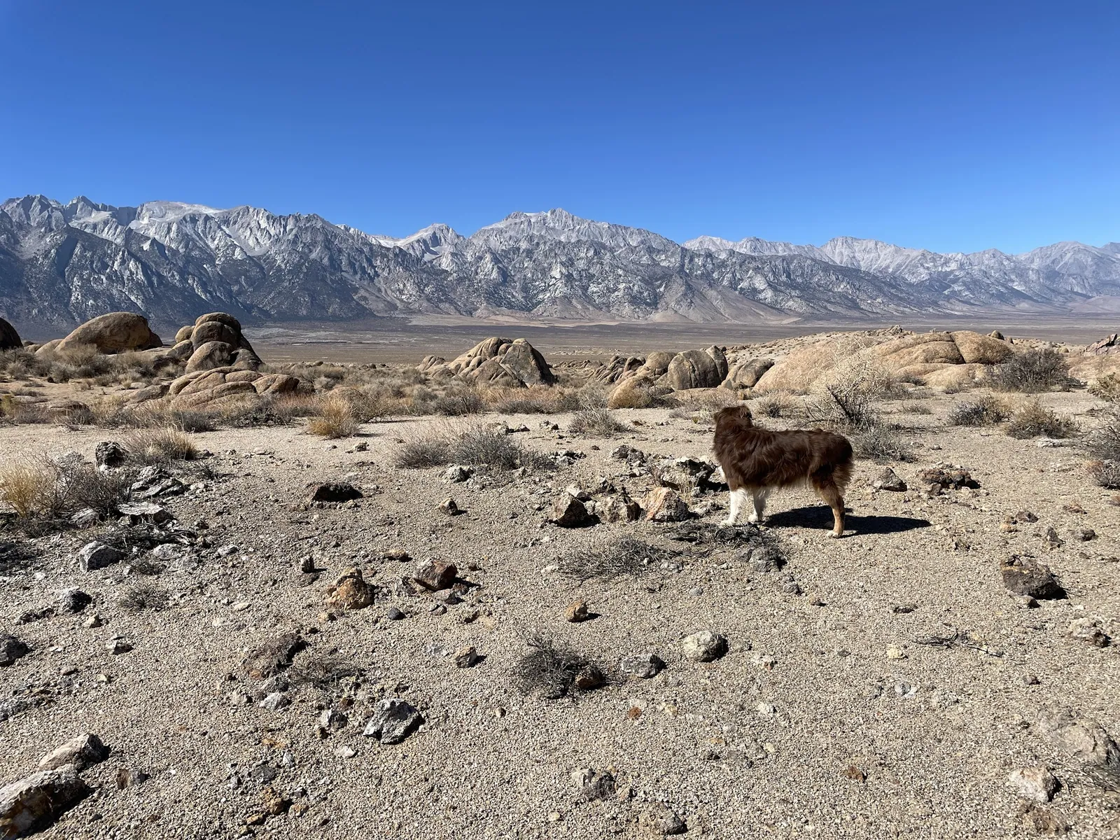 Mt Whitney