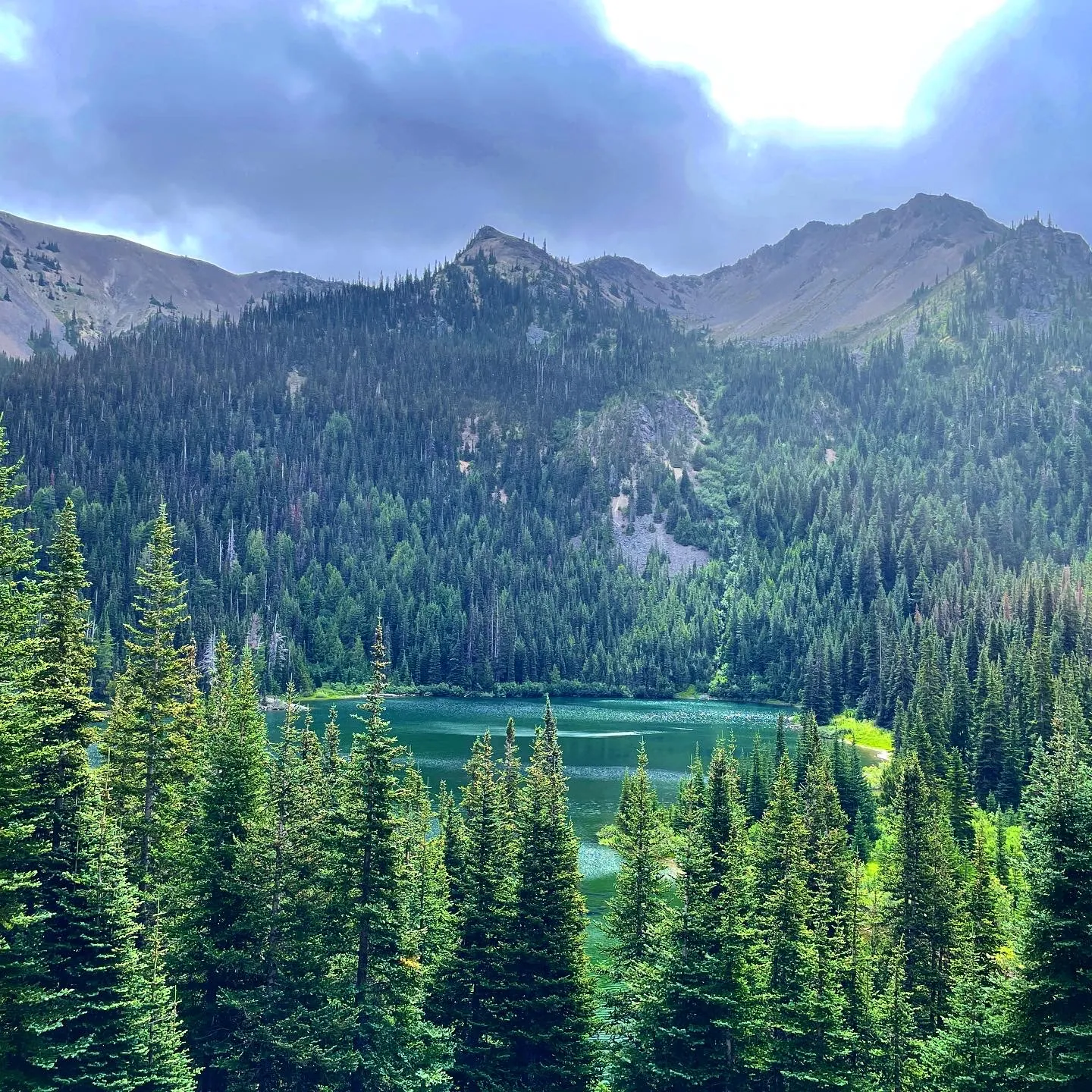 Olympic NP