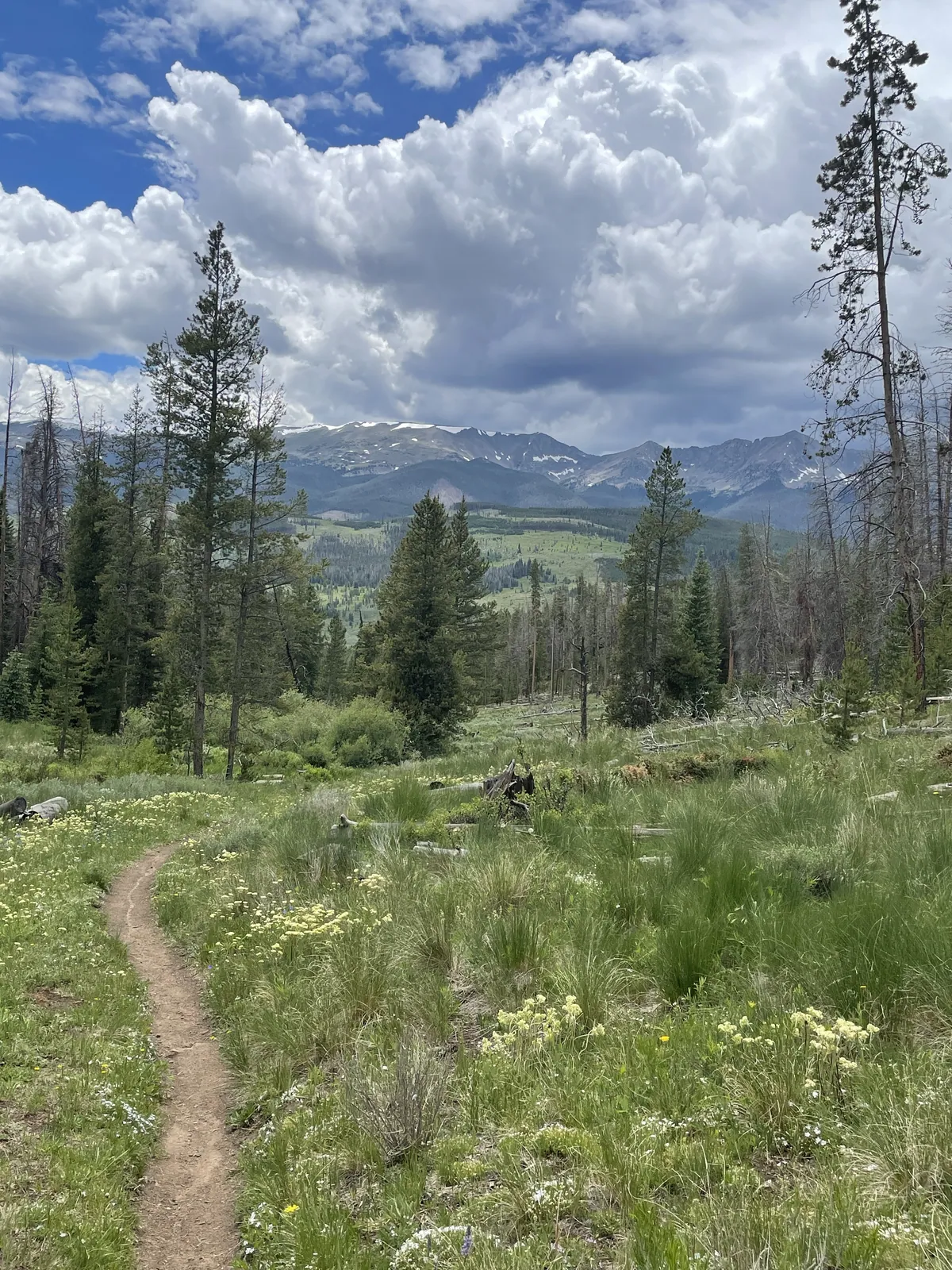 White River NF